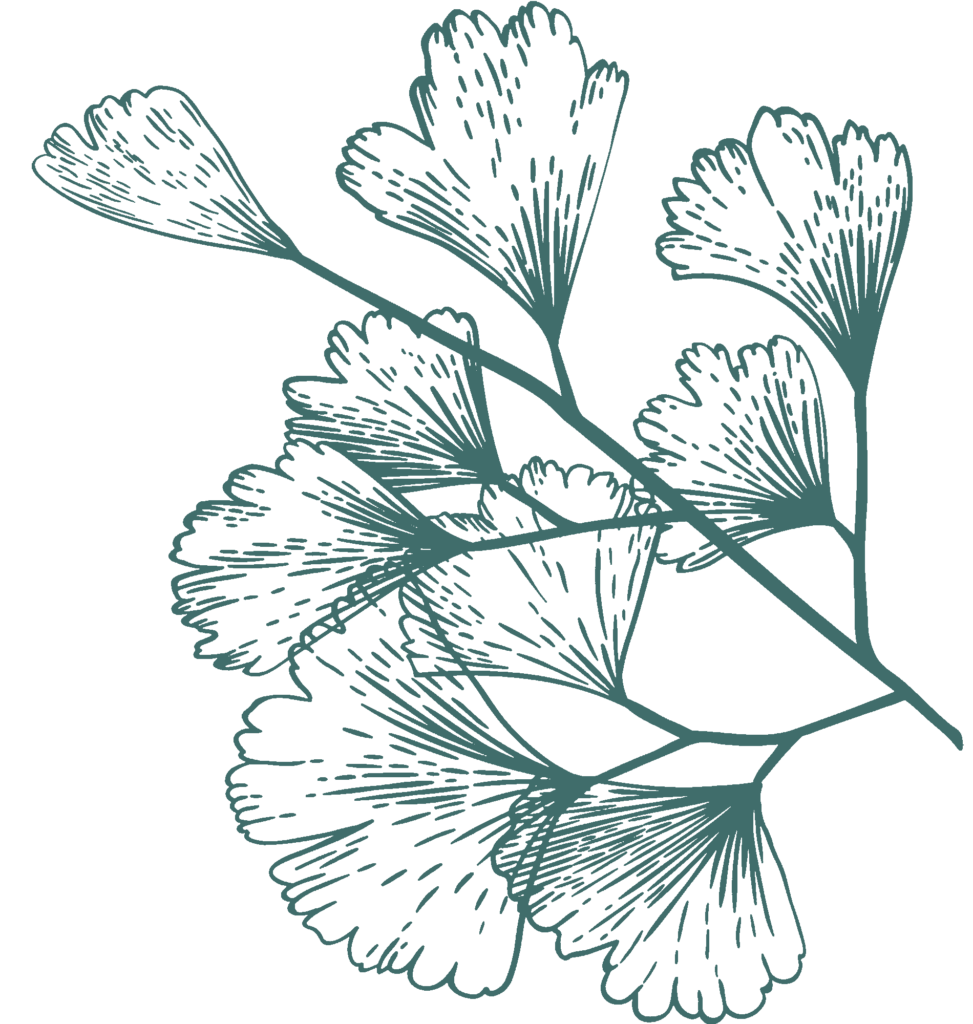 dark-green-illustration-2-973x1024
