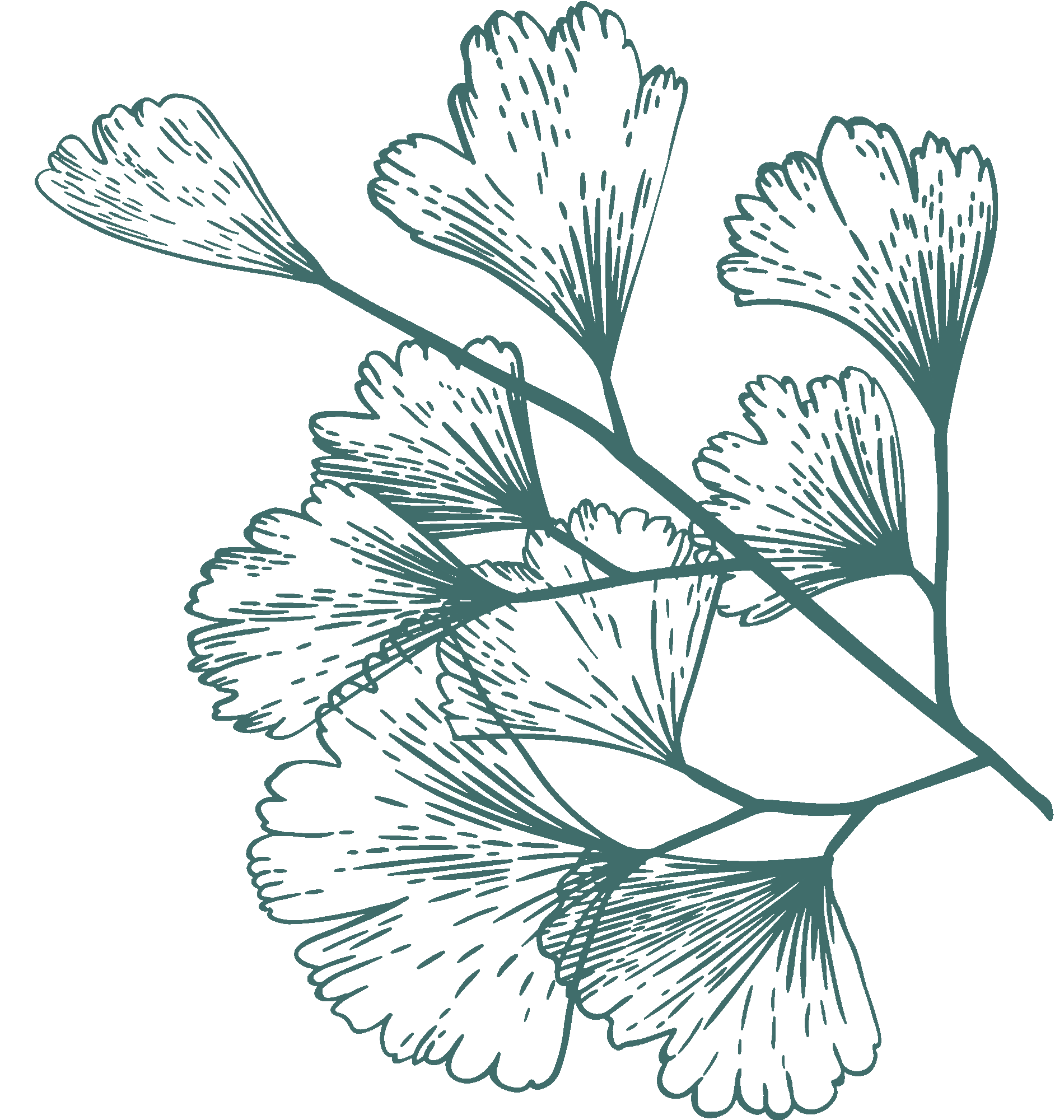 dark-green-illustration-2