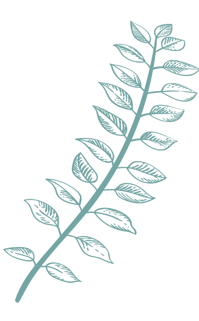 light-green-illustration-5-635x1024