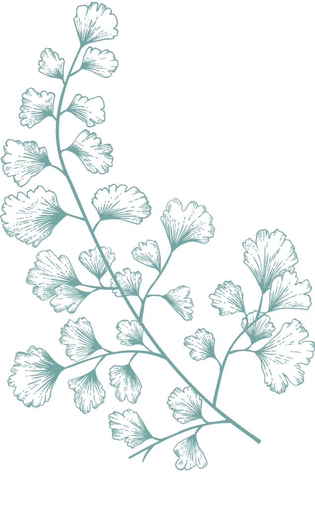 light-green-illustration-6-635x1024